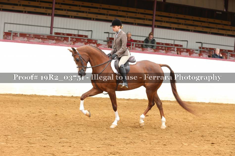 Proof 19R2_03751
