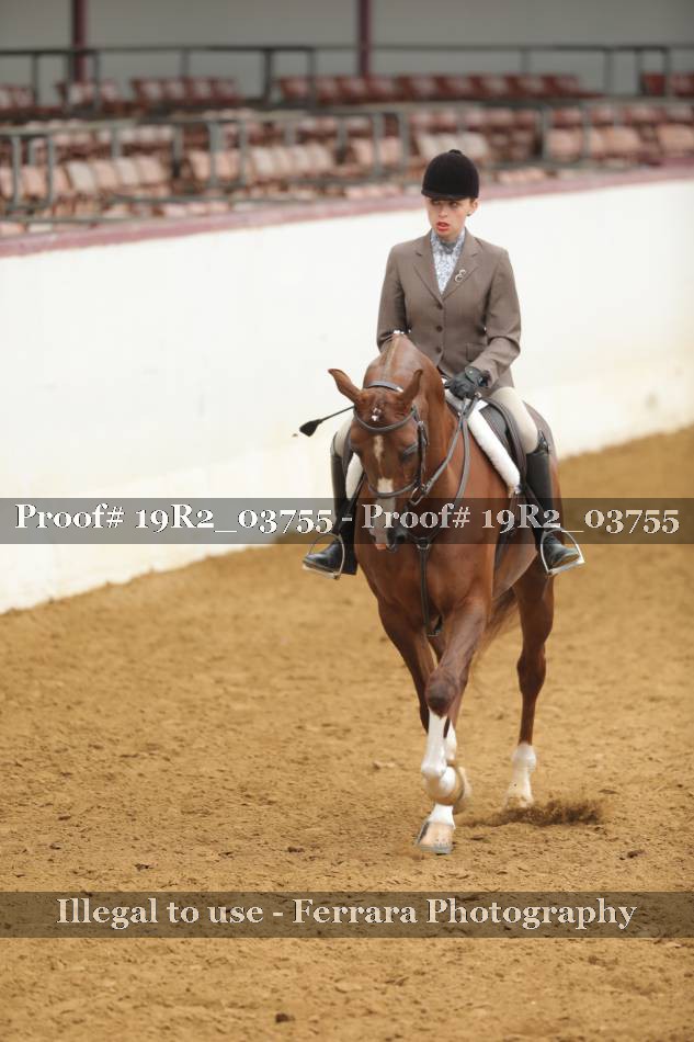 Proof 19R2_03755