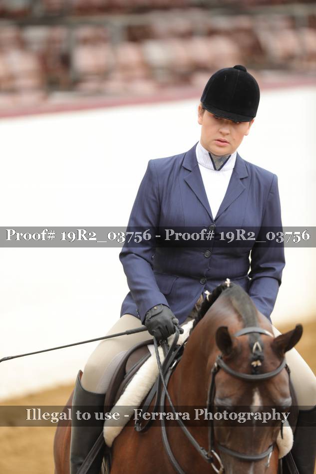 Proof 19R2_03756