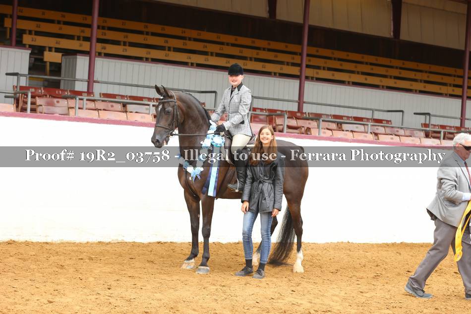 Proof 19R2_03758