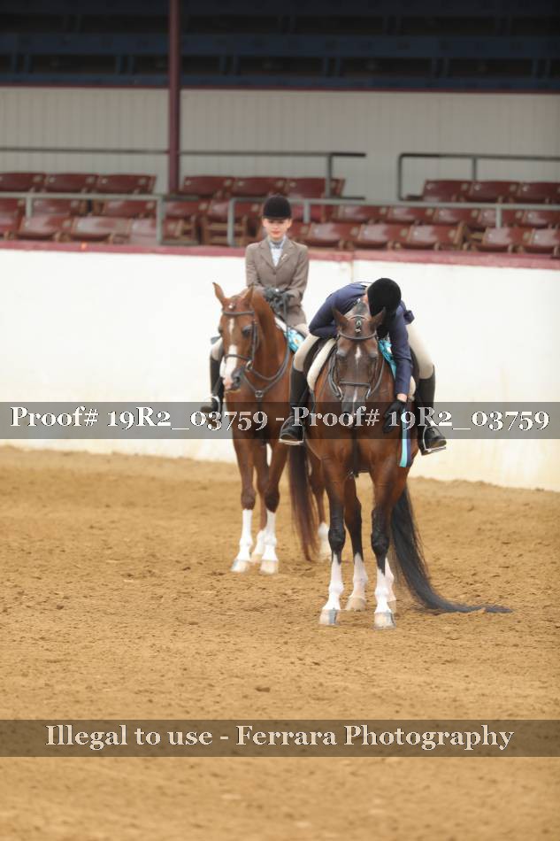Proof 19R2_03759