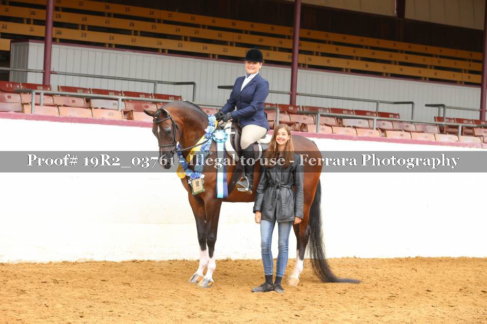 Proof 19R2_03761