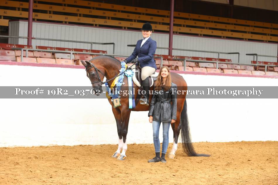 Proof 19R2_03762