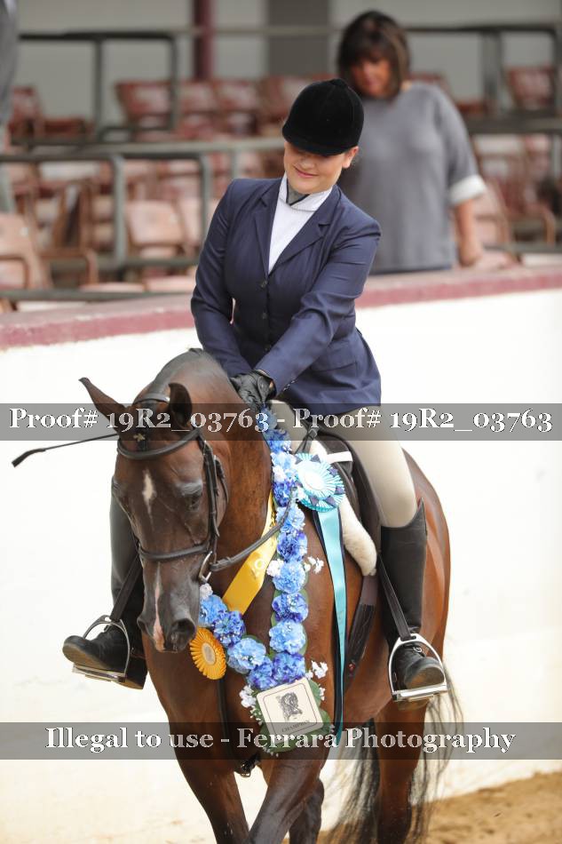 Proof 19R2_03763