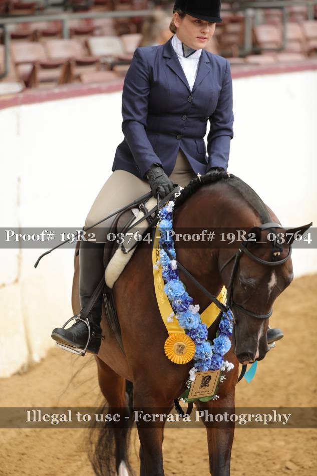 Proof 19R2_03764