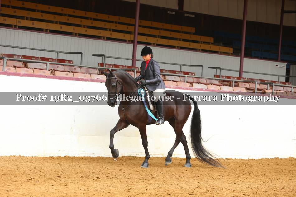Proof 19R2_03766