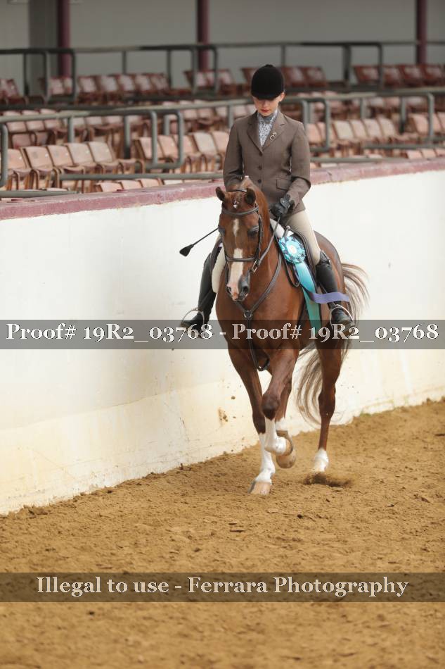 Proof 19R2_03768