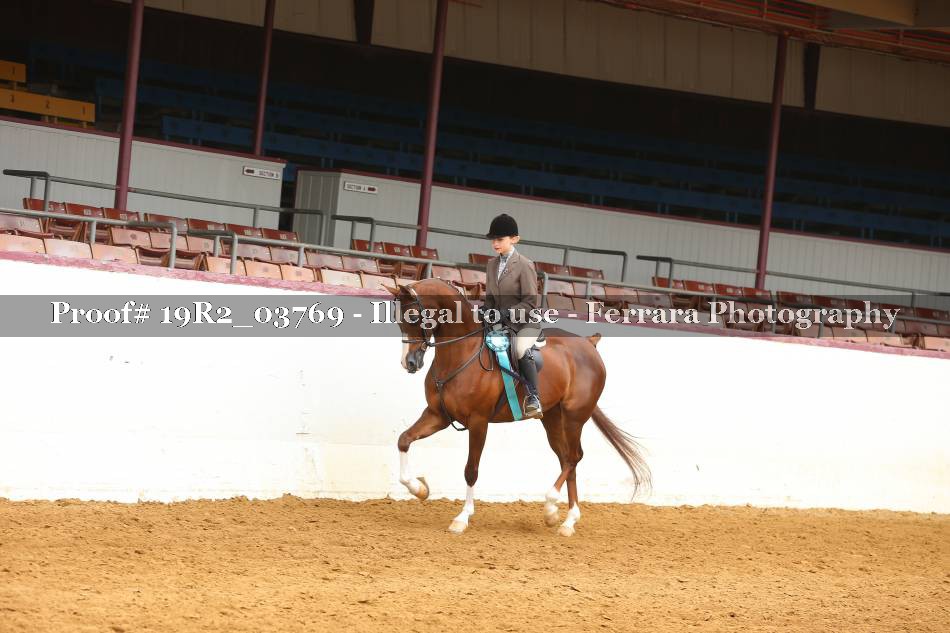 Proof 19R2_03769