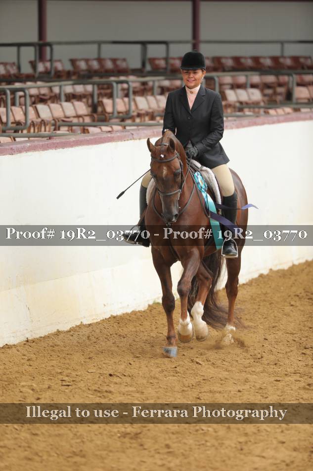Proof 19R2_03770