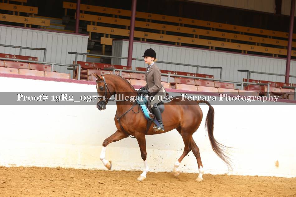 Proof 19R2_03771