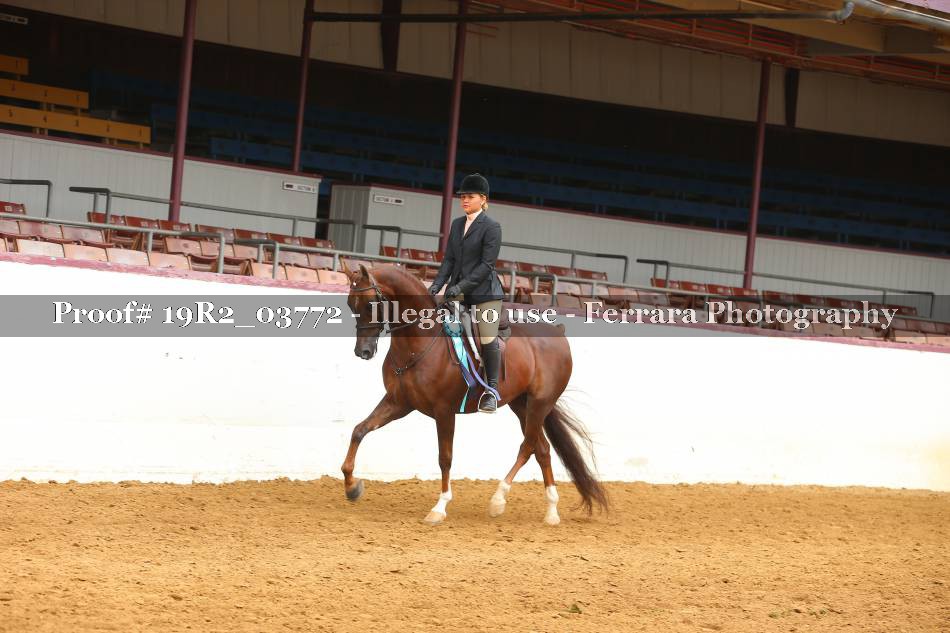 Proof 19R2_03772