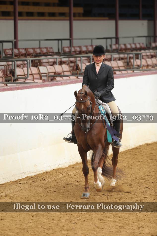 Proof 19R2_03773