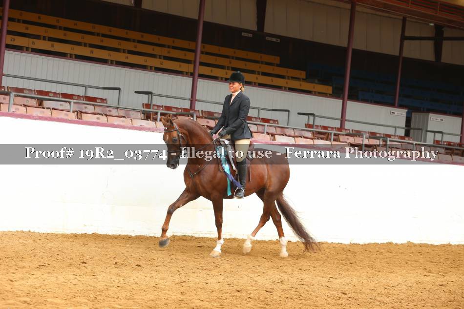 Proof 19R2_03774