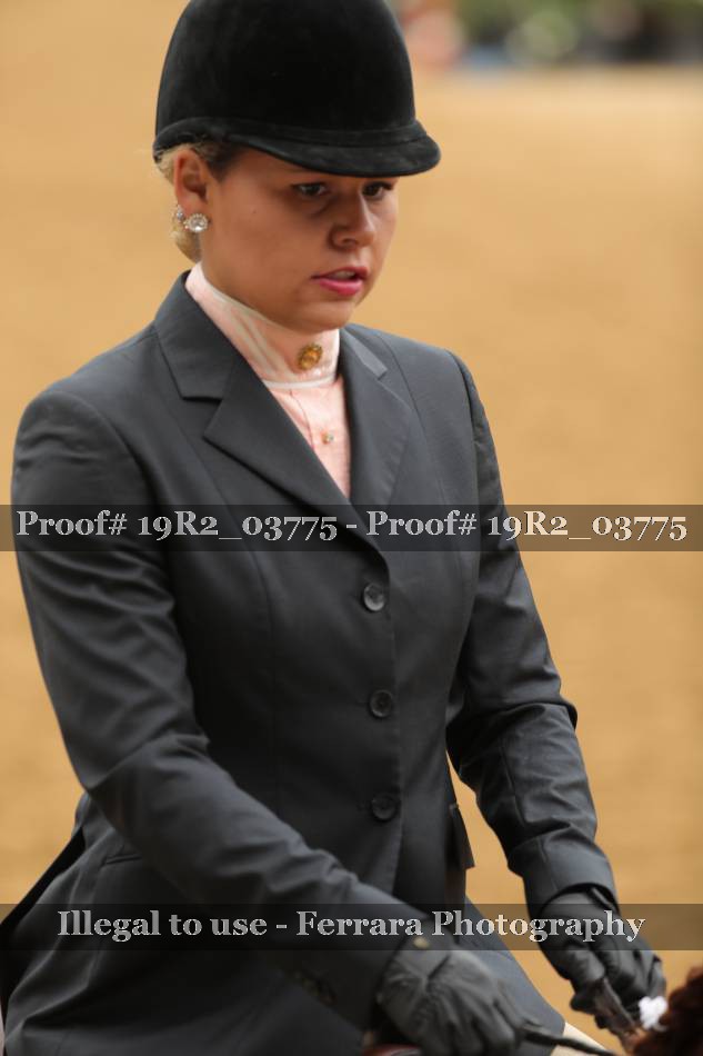 Proof 19R2_03775