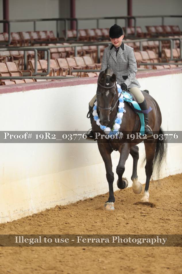 Proof 19R2_03776