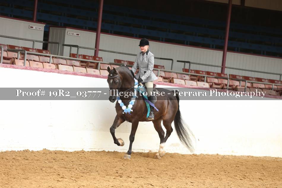 Proof 19R2_03777
