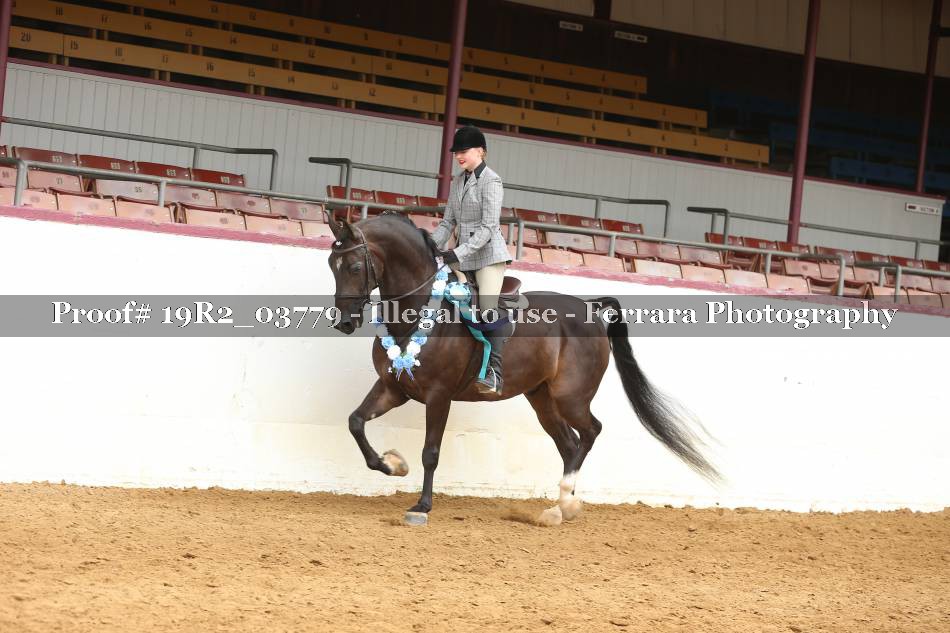 Proof 19R2_03779