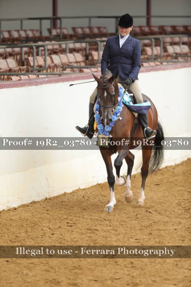 Proof 19R2_03780
