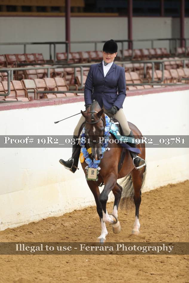 Proof 19R2_03781