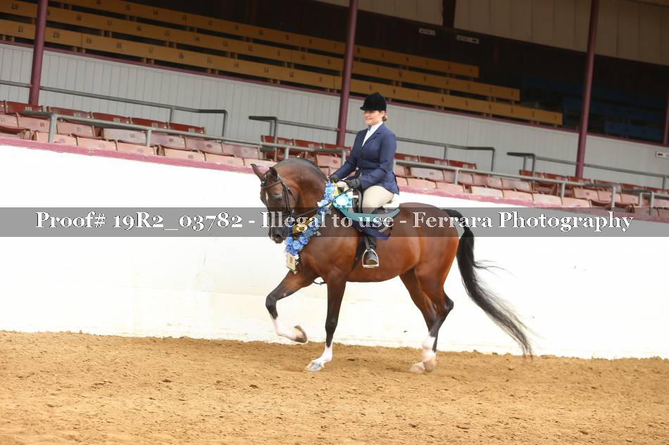 Proof 19R2_03782