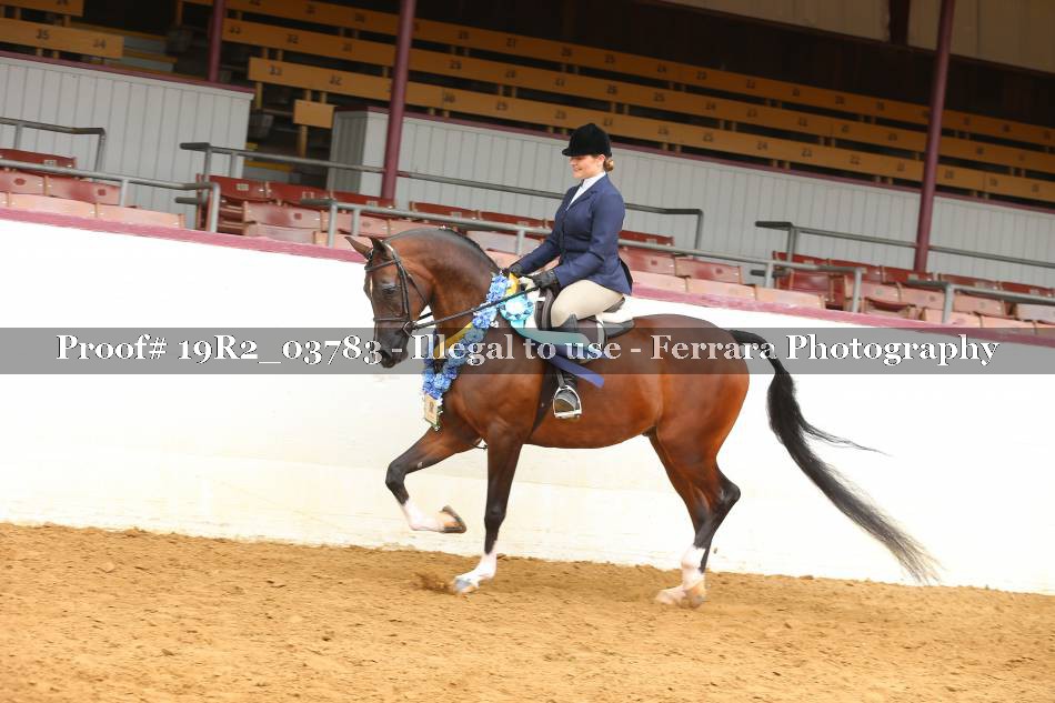 Proof 19R2_03783