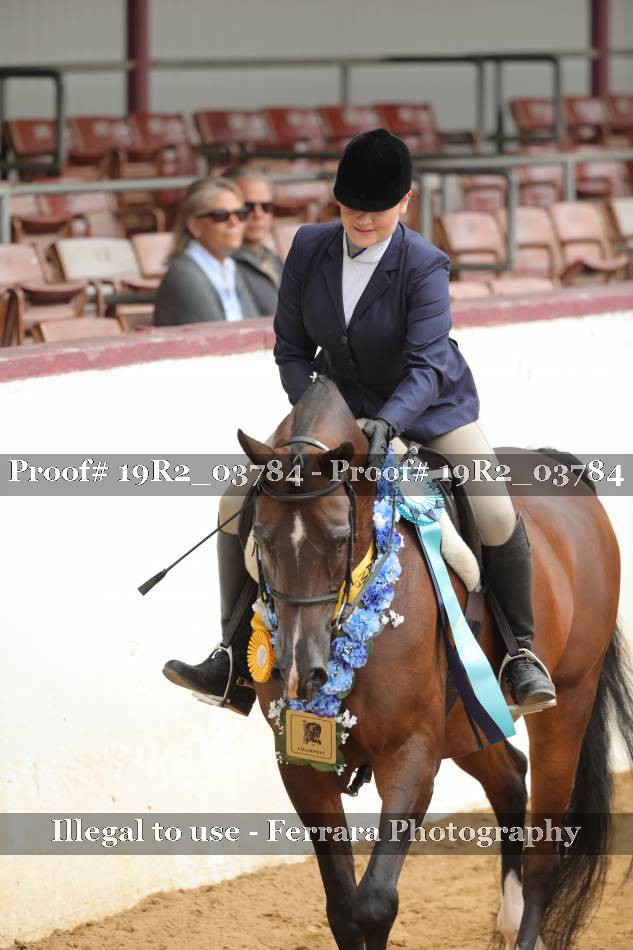 Proof 19R2_03784