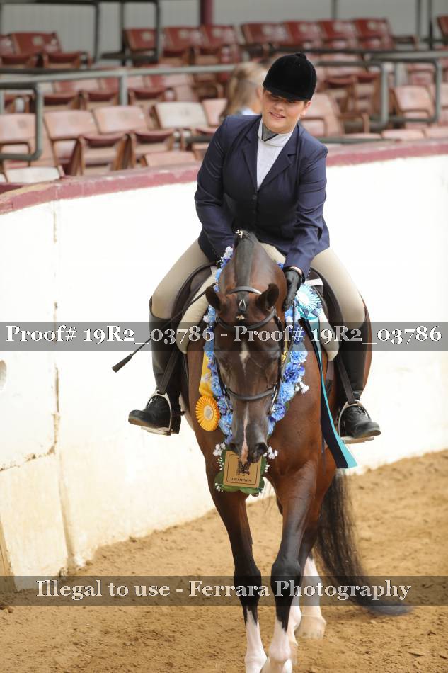 Proof 19R2_03786