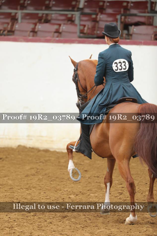 Proof 19R2_03789