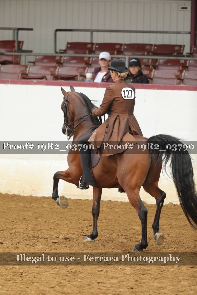 Proof 19R2_03790