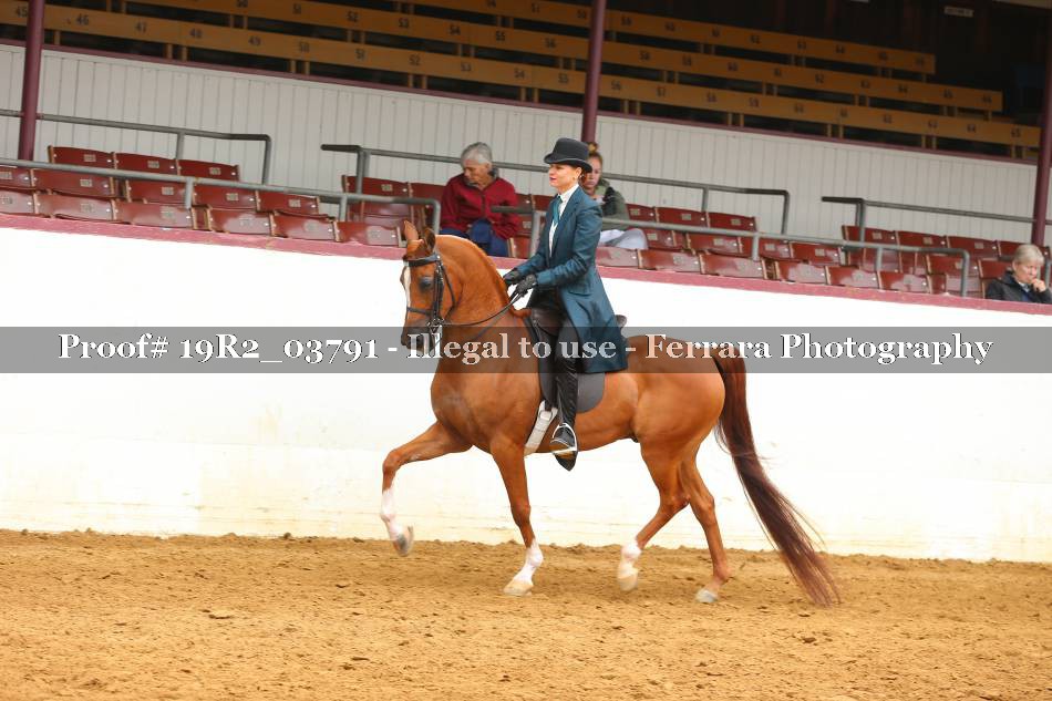 Proof 19R2_03791