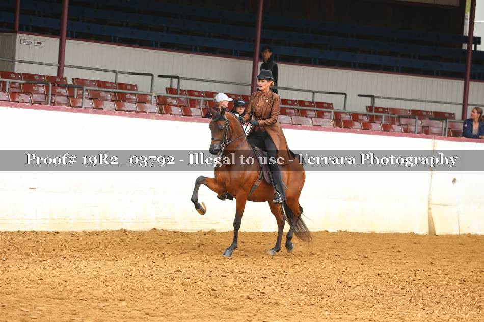 Proof 19R2_03792