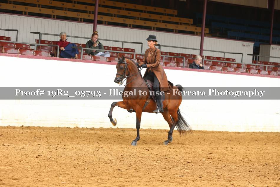 Proof 19R2_03793