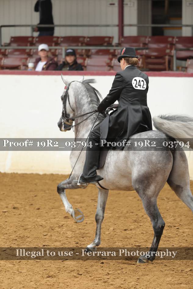 Proof 19R2_03794