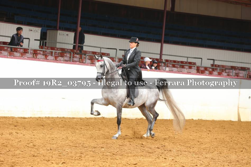 Proof 19R2_03795