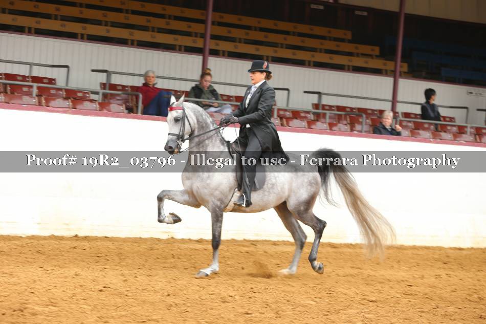 Proof 19R2_03796