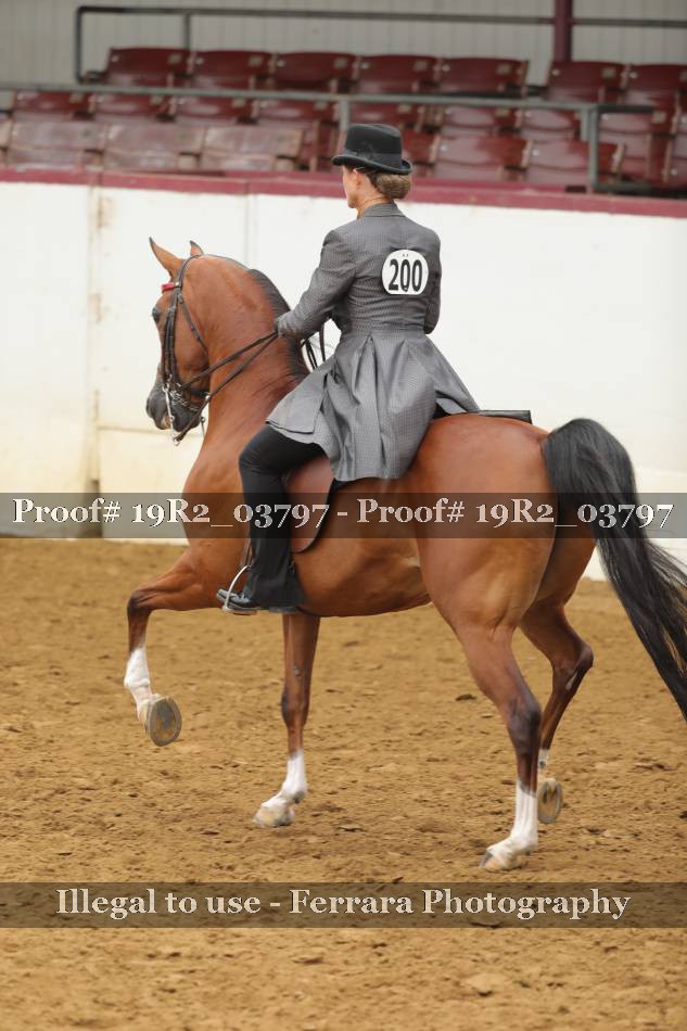 Proof 19R2_03797