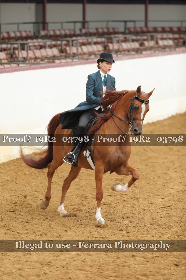 Proof 19R2_03798
