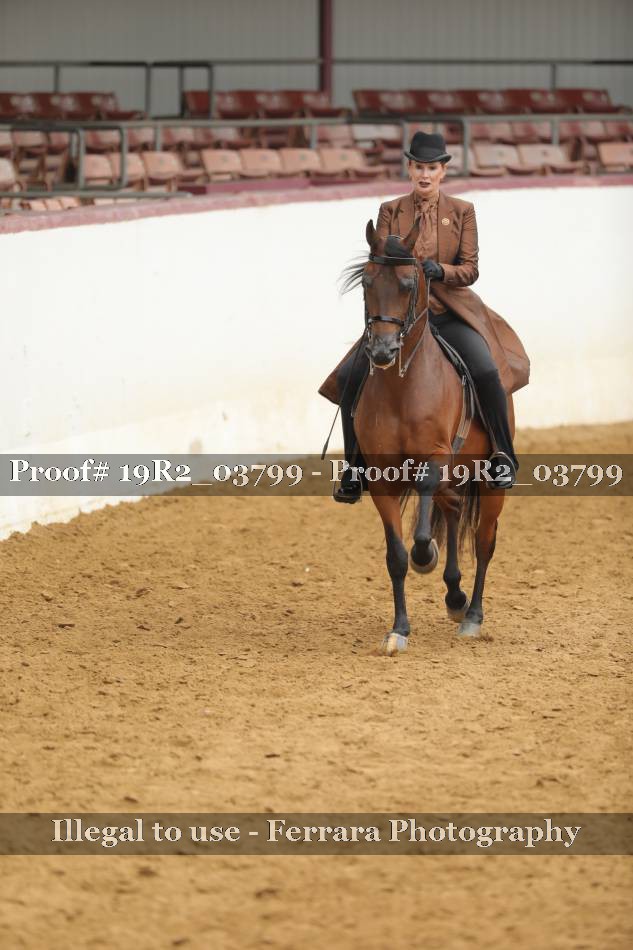 Proof 19R2_03799