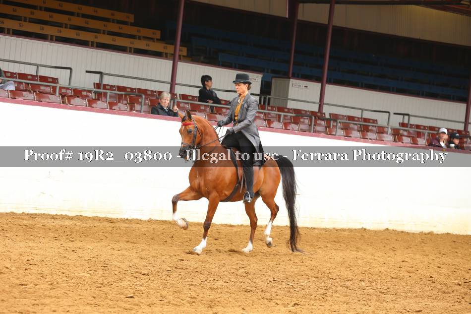 Proof 19R2_03800