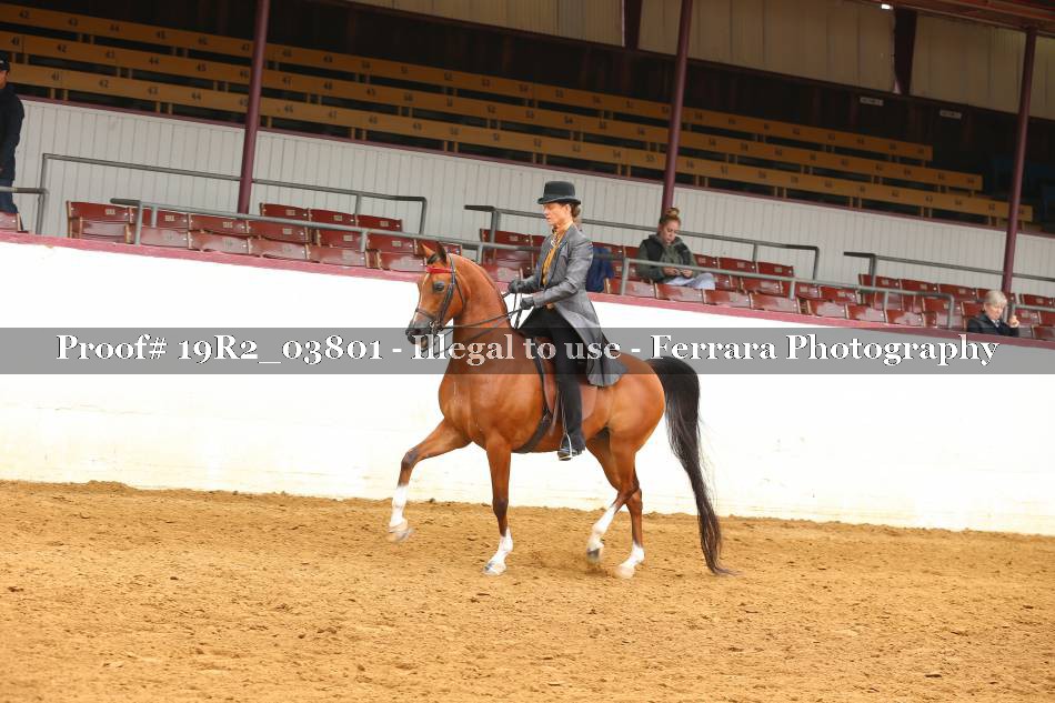 Proof 19R2_03801