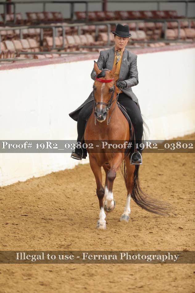 Proof 19R2_03802
