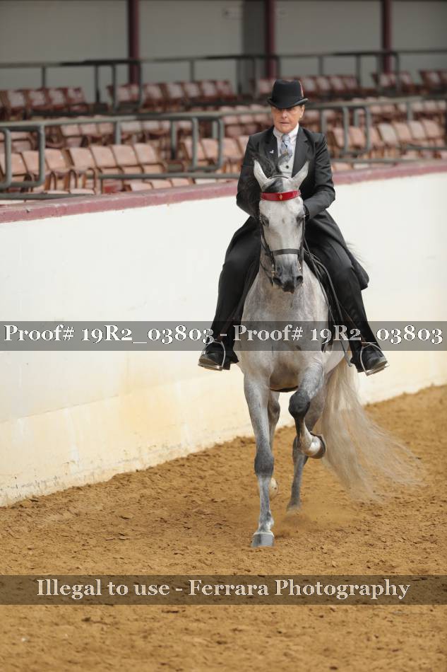 Proof 19R2_03803