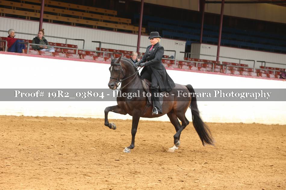 Proof 19R2_03804