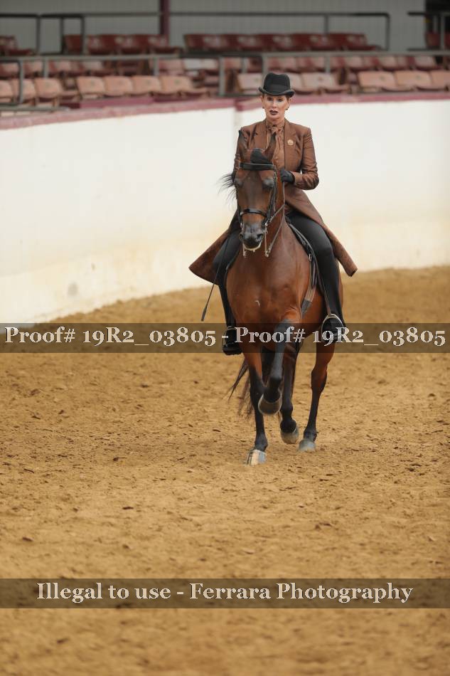 Proof 19R2_03805