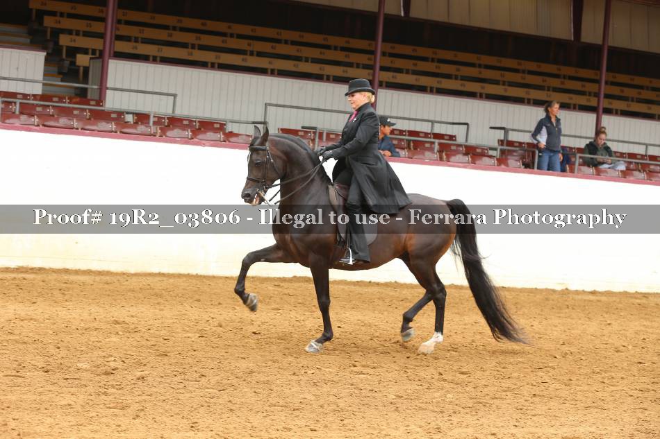 Proof 19R2_03806