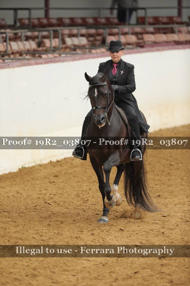 Proof 19R2_03807