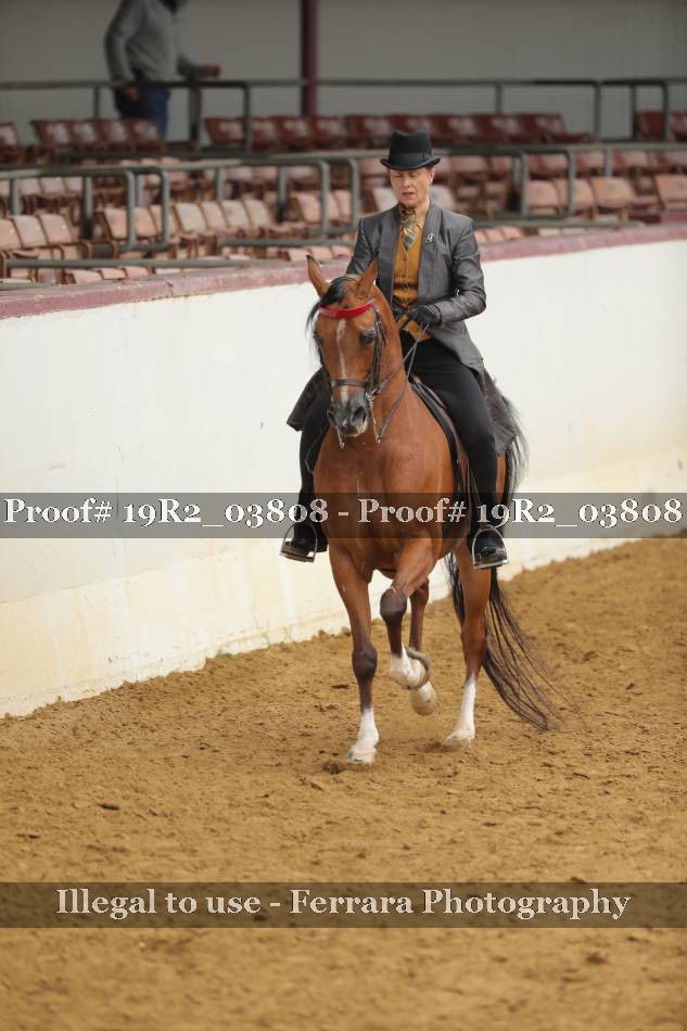 Proof 19R2_03808