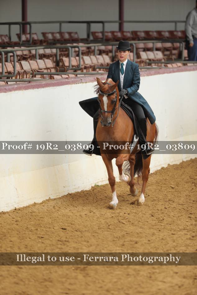 Proof 19R2_03809