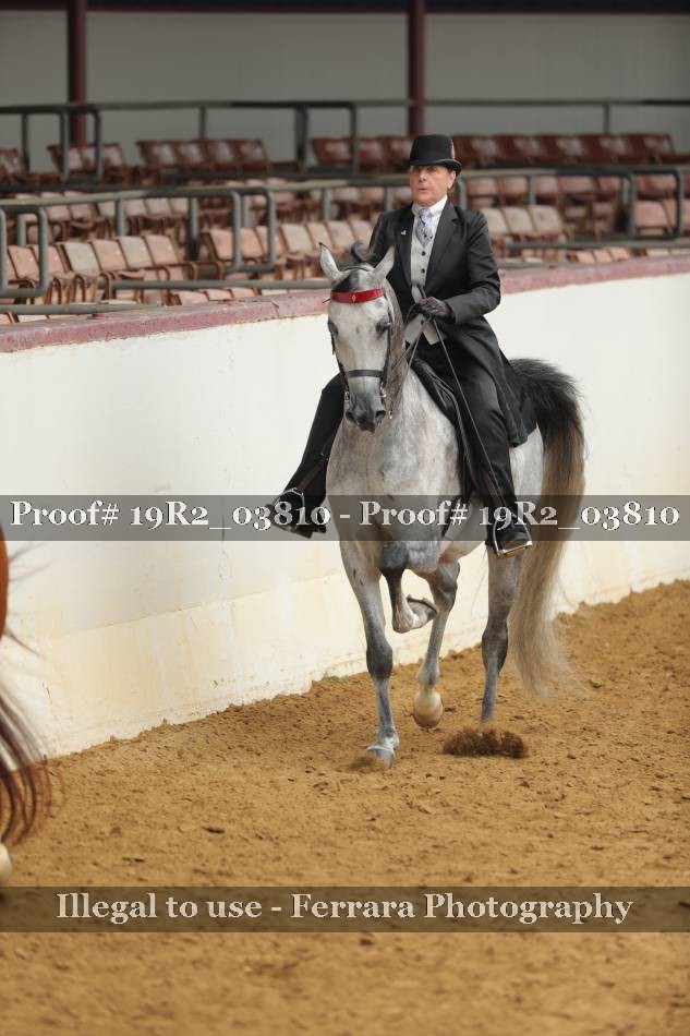 Proof 19R2_03810