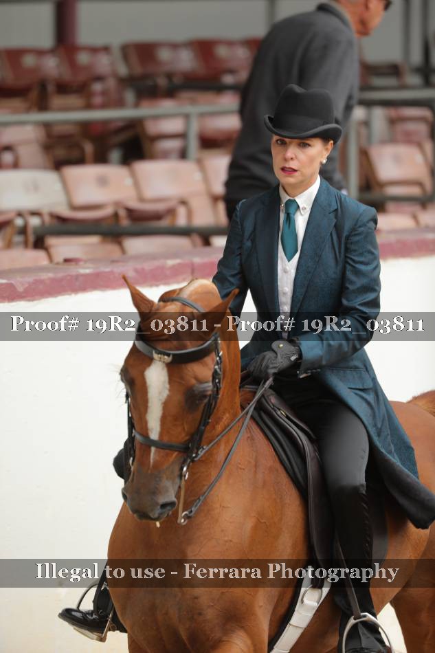 Proof 19R2_03811